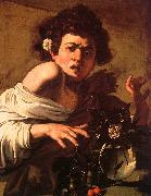 Caravaggio Youth Bitten by a Green Lizard Germany oil painting artist