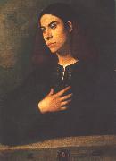 Giorgione Portrait of a Youth (Antonio Broccardo) dsdg oil painting reproduction