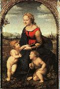 Raphael The Virgin and Child with John the Baptist oil painting picture wholesale