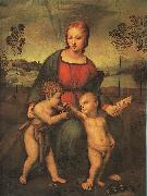 Raphael Madonna of the Goldfinch oil painting picture wholesale