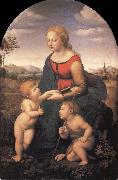 Raphael The Virgin and Child with the infant Saint John the Baptist Germany oil painting artist