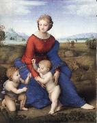 Raphael The Madonna in the Meadow oil