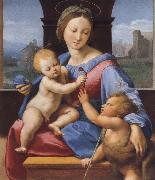 Raphael The Madonna and Child with teh Infant Baptist Germany oil painting artist