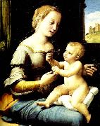 Raphael madonna of the pinks painting