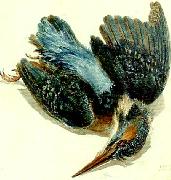 J.M.W.Turner kingfisher oil