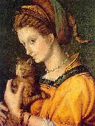 BACCHIACCA Portrait de jeune femme tenant un chat Germany oil painting artist