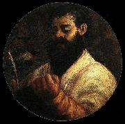 Titian St Mark Germany oil painting artist