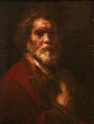 BRAMANTE Portrait of a man oil