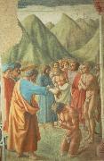 MASACCIO The Baptism of the Neophytes oil painting reproduction