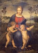 Raphael Madonna of the Goldfinch Germany oil painting artist