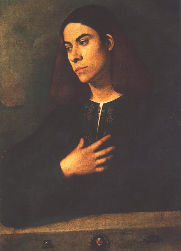 Giorgione Portrait of a Youth (Antonio Broccardo) dsdg oil painting image