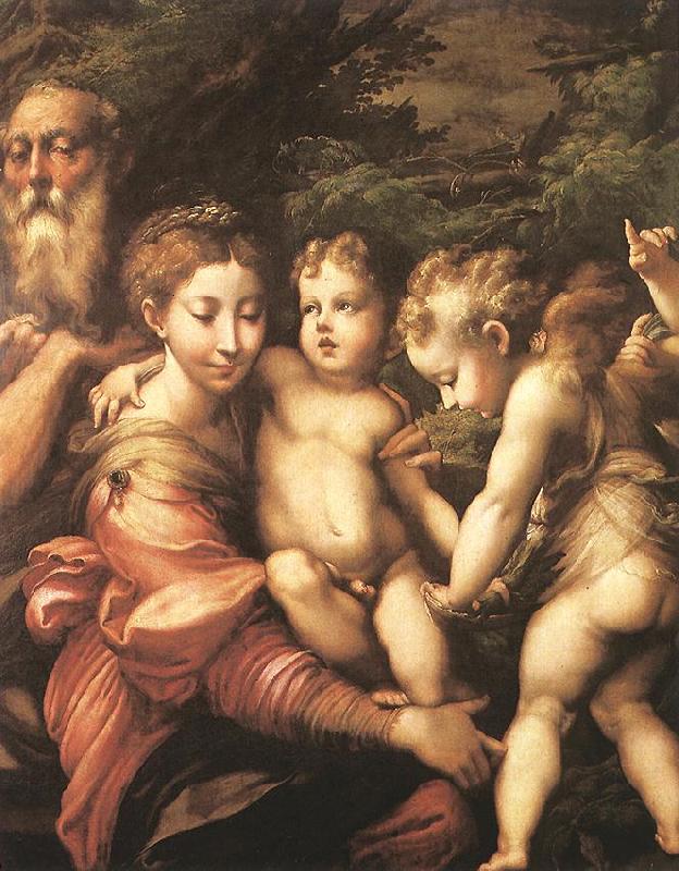 PARMIGIANINO Rest on the Flight to Egypt ag oil painting image