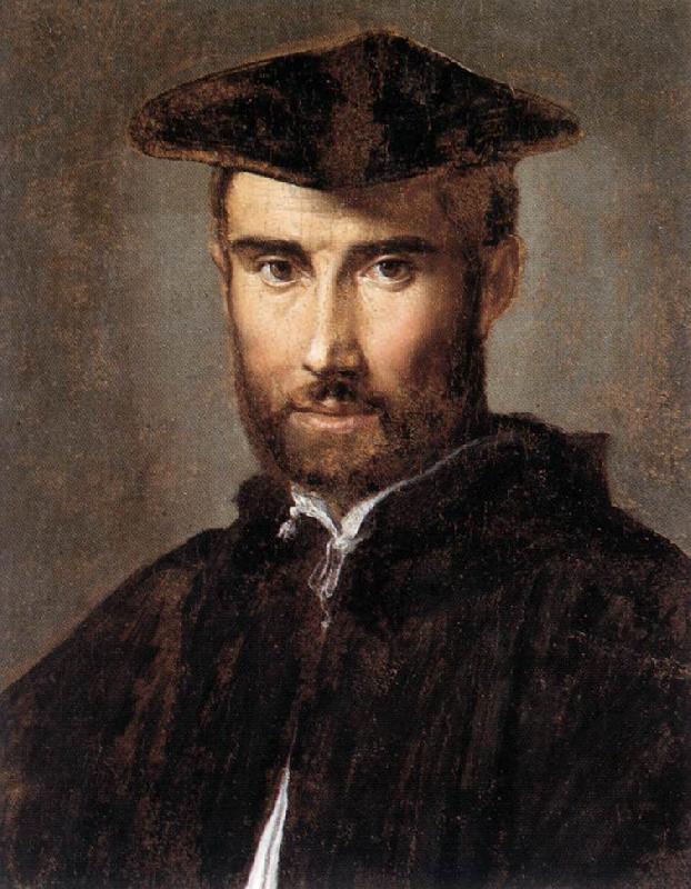 PARMIGIANINO Portrait of a Man ag oil painting image