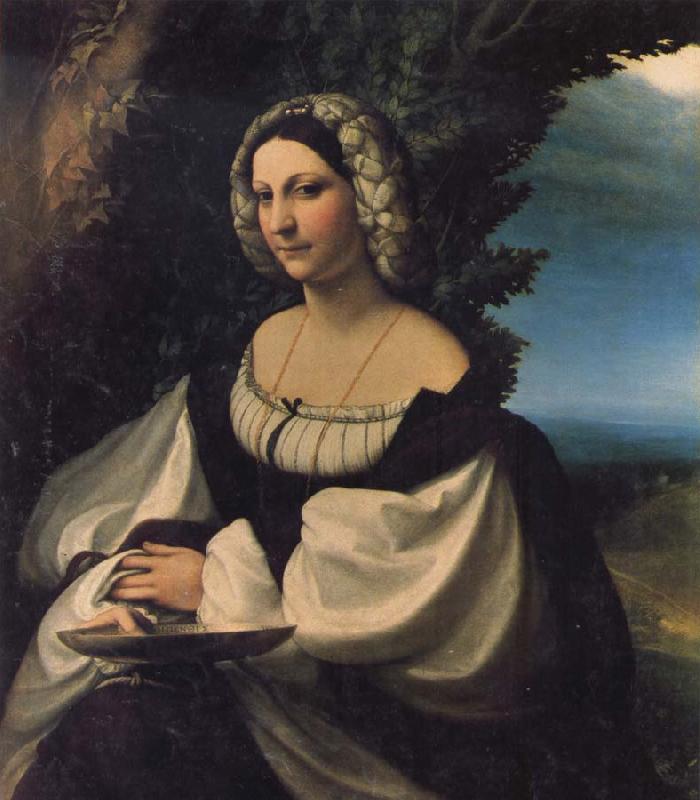 Correggio Portrait of a Lady oil painting image