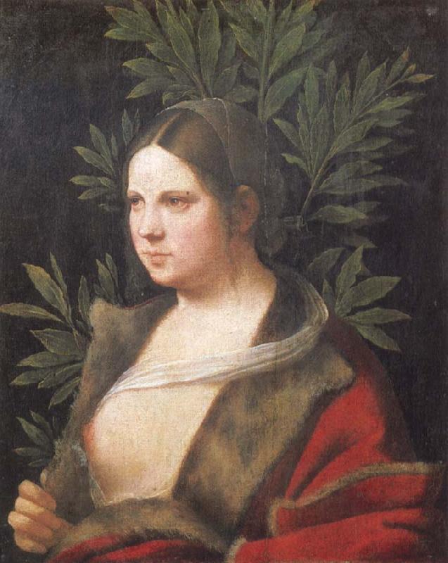 Giorgione Portrait of a young woman Germany oil painting art