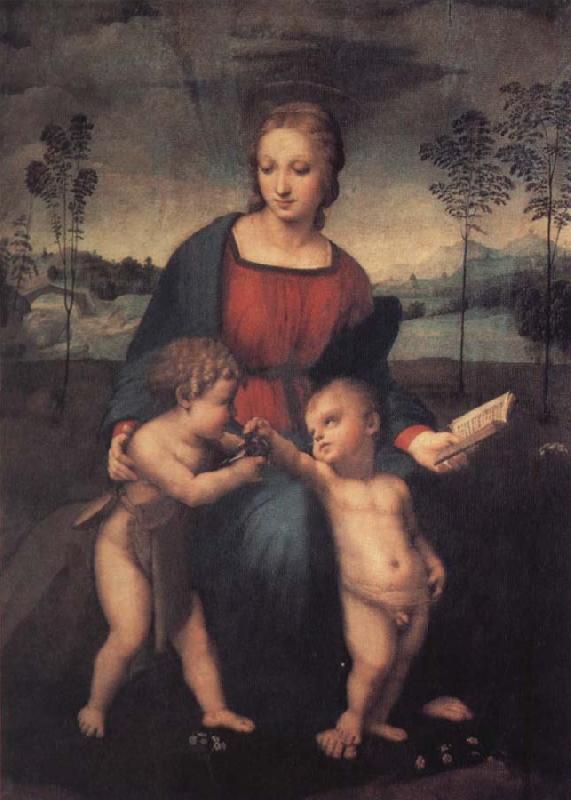 Raphael The Madonna of the Goldfinch Germany oil painting art
