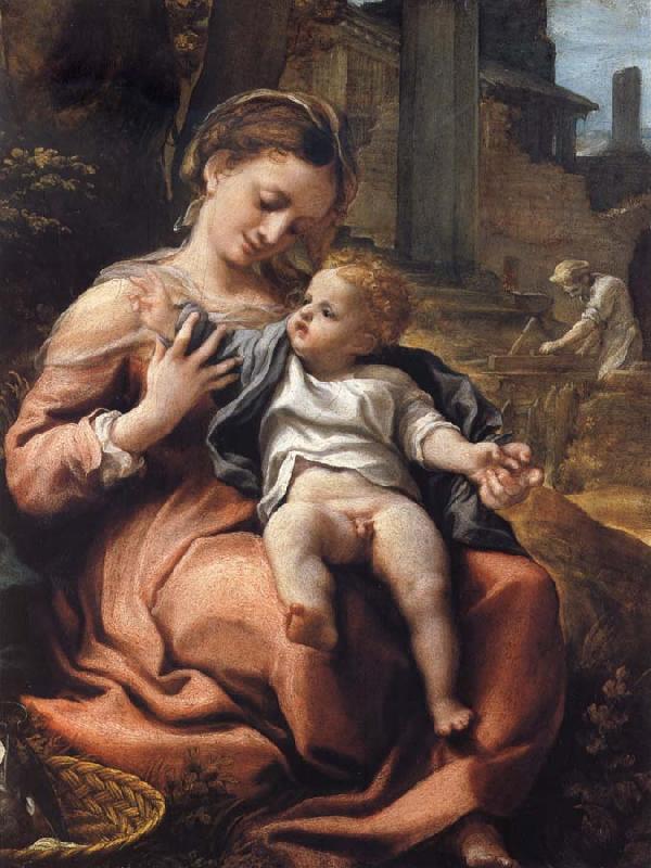 Correggio The Madonna of the Basket Germany oil painting art