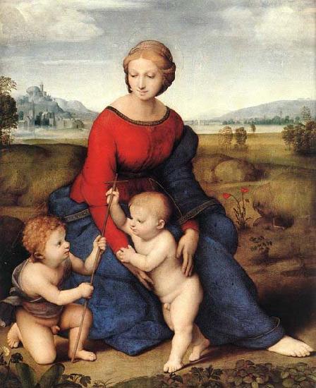Raffaello Madonna of Belvedere Germany oil painting art