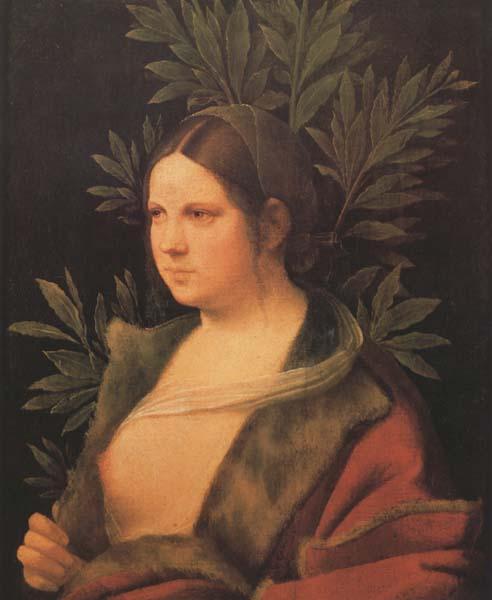 Giorgione Laura (MK45) oil painting picture