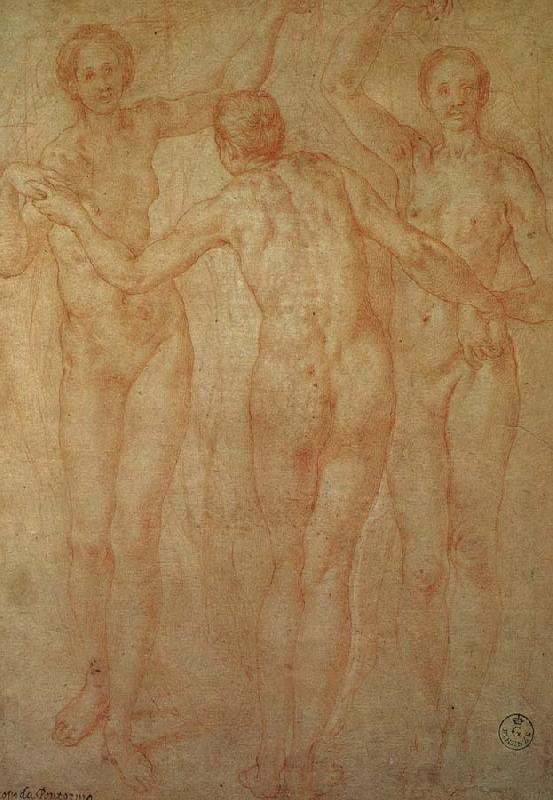 Pontormo The three goddesses oil painting picture