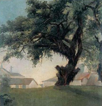Anonymous Giant tree and barracks oil painting image