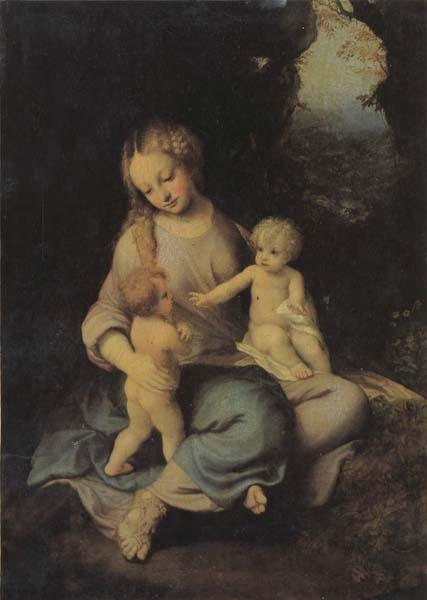 Correggio Madonna and Child Germany oil painting art