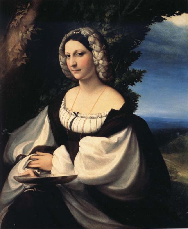 Correggio Portrait of a Gentlewoman oil painting picture