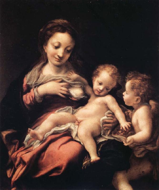 Correggio Madonna del Latte oil painting image