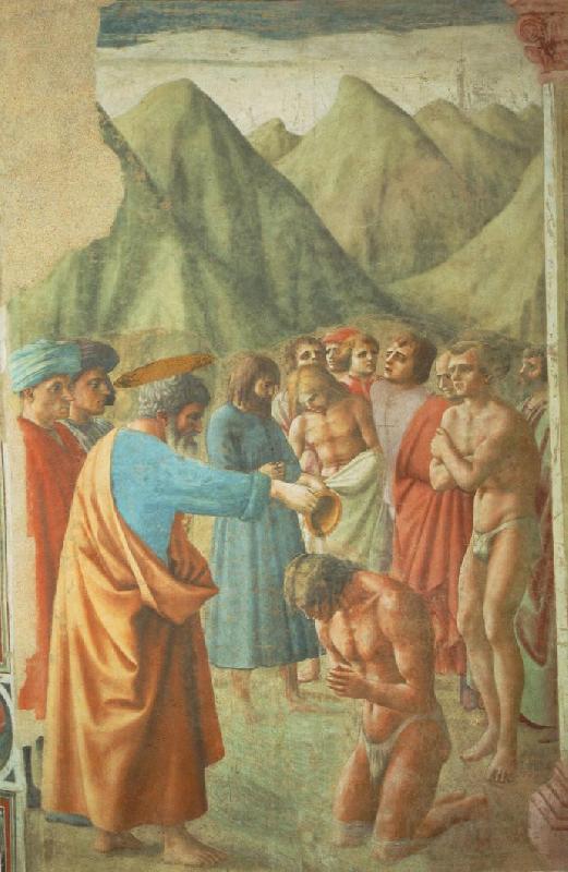MASACCIO The Baptism of the Neophytes Germany oil painting art