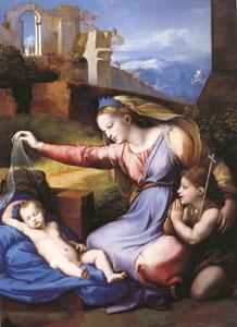 Raphael The Virgin with the Veil (mk05) oil painting picture
