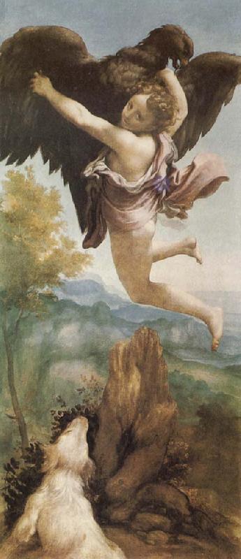 Correggio The Abduction of Ganymede Germany oil painting art