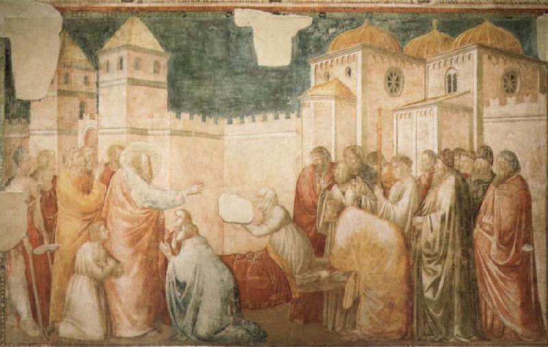 Giotto The Raising of Drusiana,Cappella Peruzzi Germany oil painting art